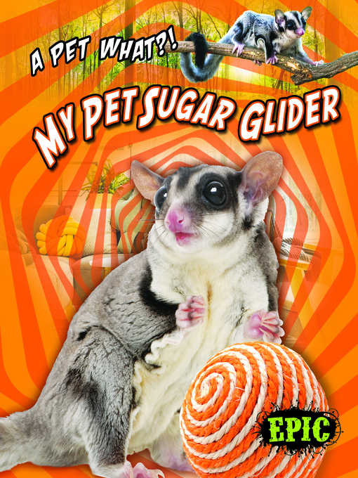 Title details for My Pet Sugar Glider by Paige V. Polinsky - Available